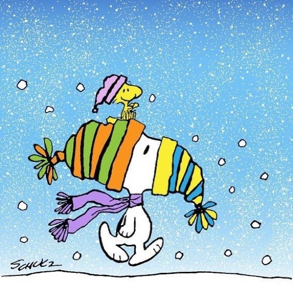 Meet your Posher, Jamie - Picture 7 of 7